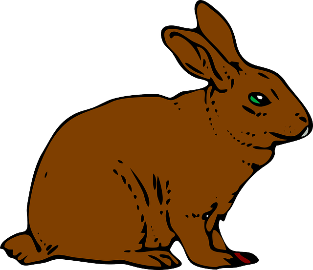 zając